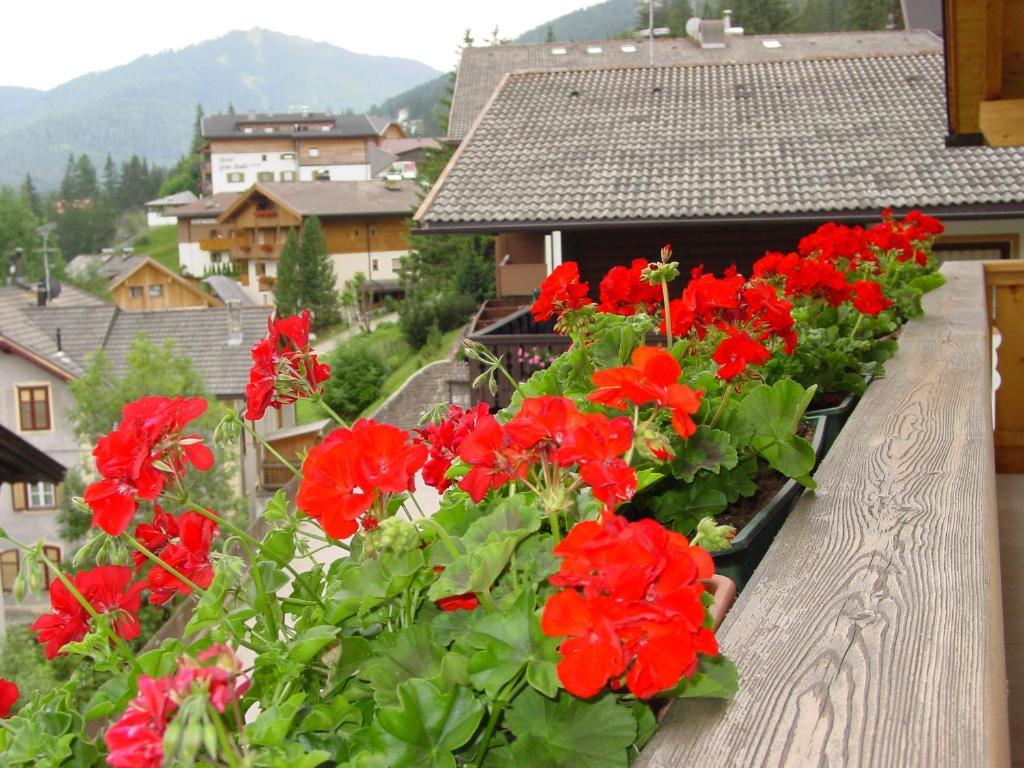 Ciasa Rudiferia Appartamenti In Alta Badia Exteriér fotografie