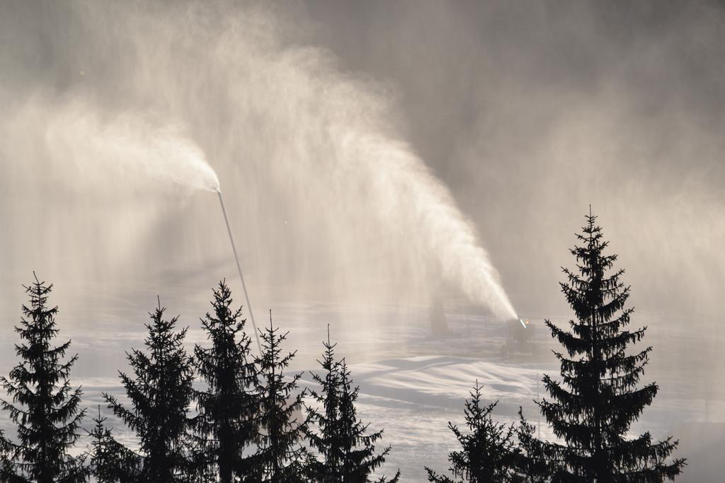 Ciasa Rudiferia Appartamenti In Alta Badia Exteriér fotografie